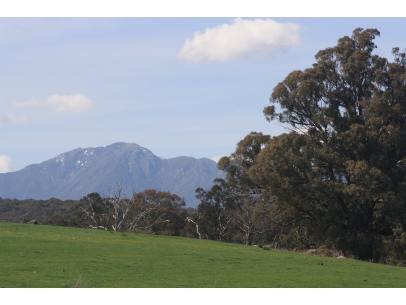 796 Buttercup Road, Merrijig VIC 3723