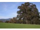 796 Buttercup Road, Merrijig VIC 3723