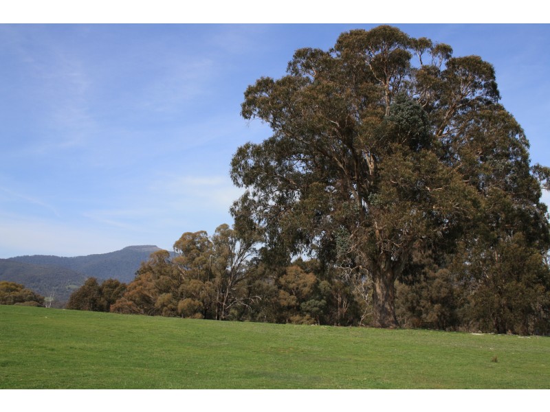 796 Buttercup Road, Merrijig VIC 3723