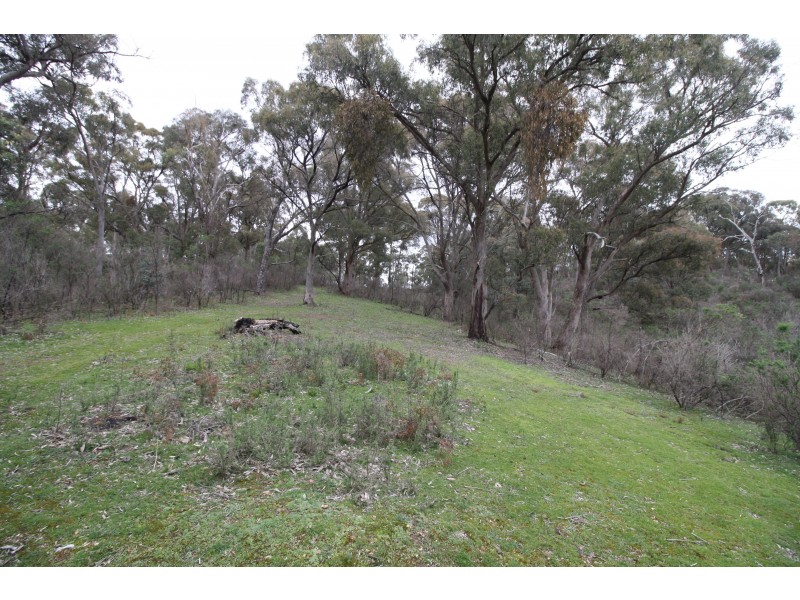 233 Sonnberg Drive, Bonnie Doon VIC 3720