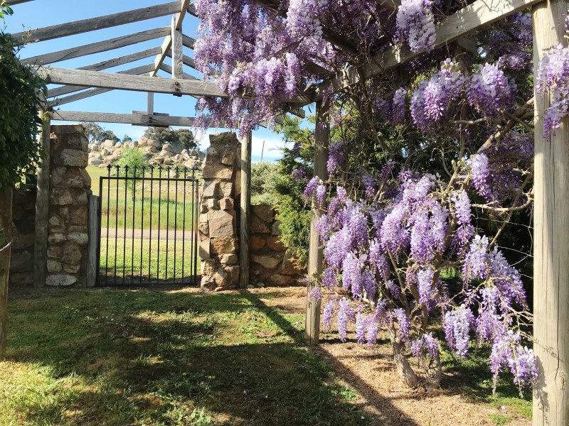 1125 Tarcombe Road, Avenel VIC 3664