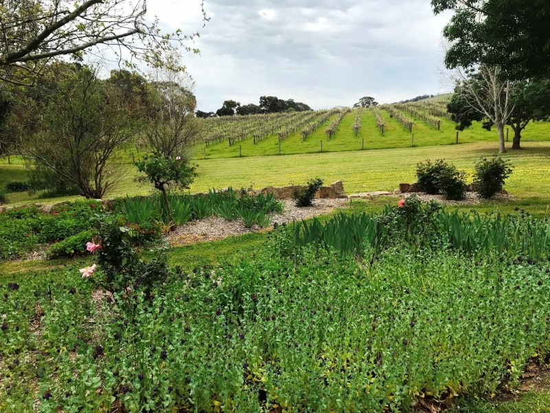 1125 Tarcombe Road, Avenel VIC 3664