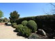 6 Links Road, Mansfield VIC 3722