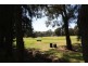 6 Links Road, Mansfield VIC 3722