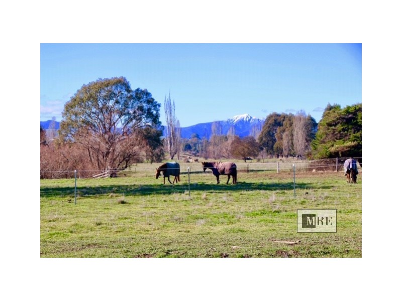10 Rowe Street, Mansfield VIC 3722