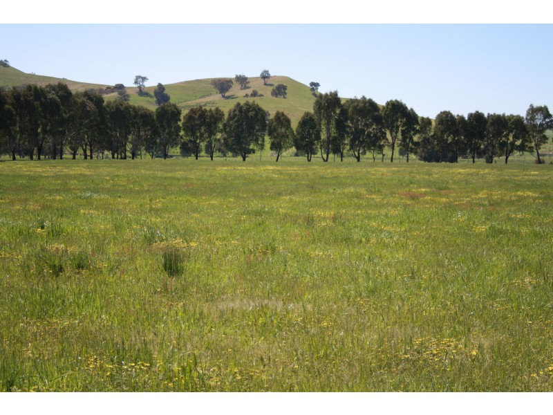 1/90 Lockharts Road, Bonnie Doon VIC 3720