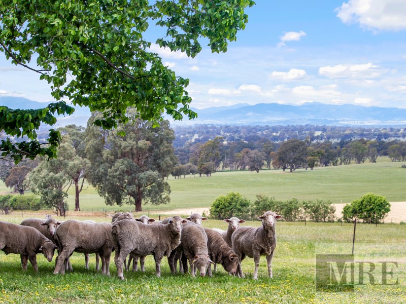 122 Magills Lane, Maindample VIC 3723