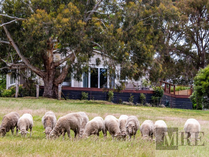 122 Magills Lane, Maindample VIC 3723