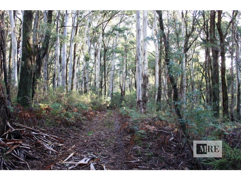 587 Bunstons Road, Tolmie VIC 3723