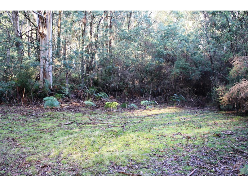587 Bunstons Road, Tolmie VIC 3723