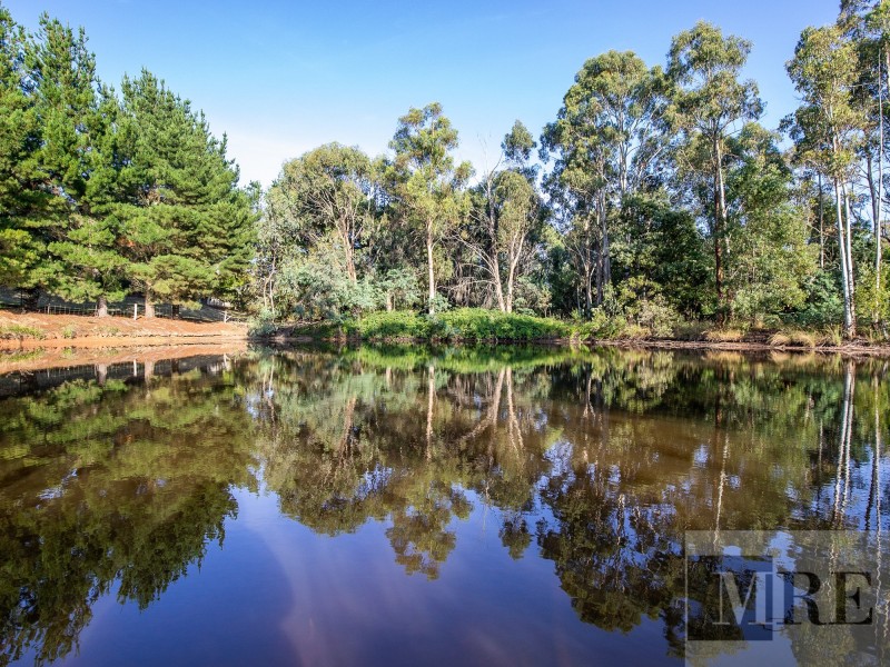 1313 Old Tolmie Road, Tolmie VIC 3723