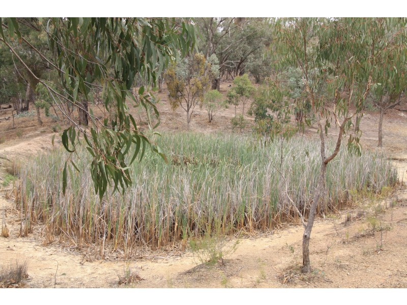 SOLD BY MRE – 37 Tanners Lane, Bonnie Doon VIC 3720