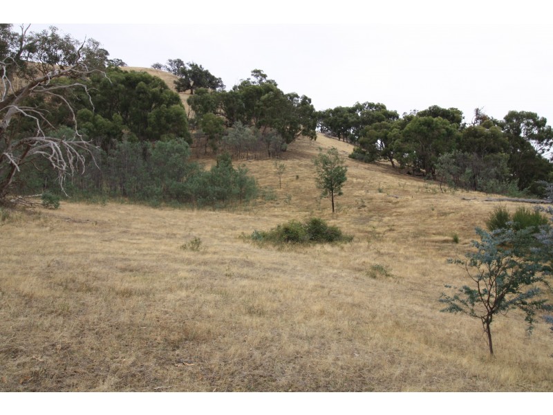 SOLD BY MRE – 37 Tanners Lane, Bonnie Doon VIC 3720