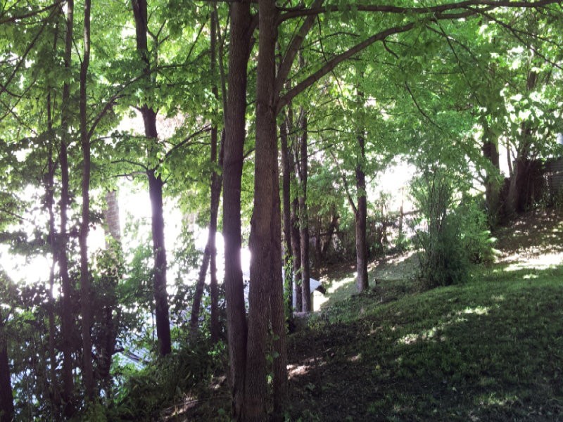 5 Ellery Street, Woods Point VIC 3723