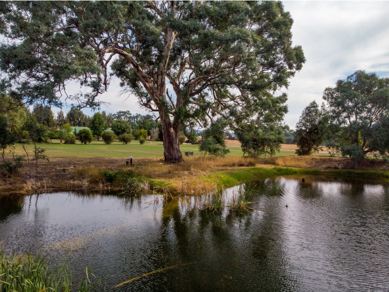 .989 Howes Creek Road, Mansfield VIC 3722