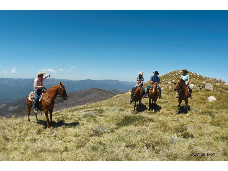 1/627 Glenroy Road, Barwite VIC 3722