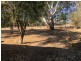 1490 Howes Creek Road, Mansfield VIC 3722