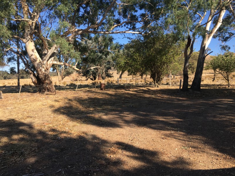 1490 Howes Creek Road, Mansfield VIC 3722