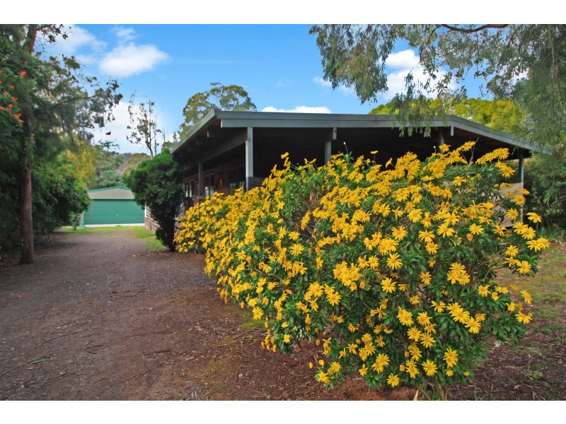 16 Glen Avenue, Jamieson VIC 3723