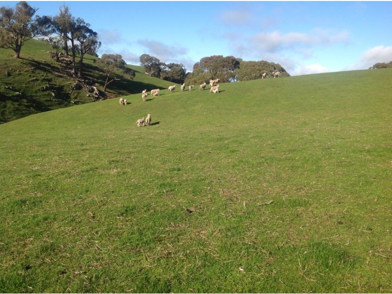 226 Macklins Road, Merton VIC 3715