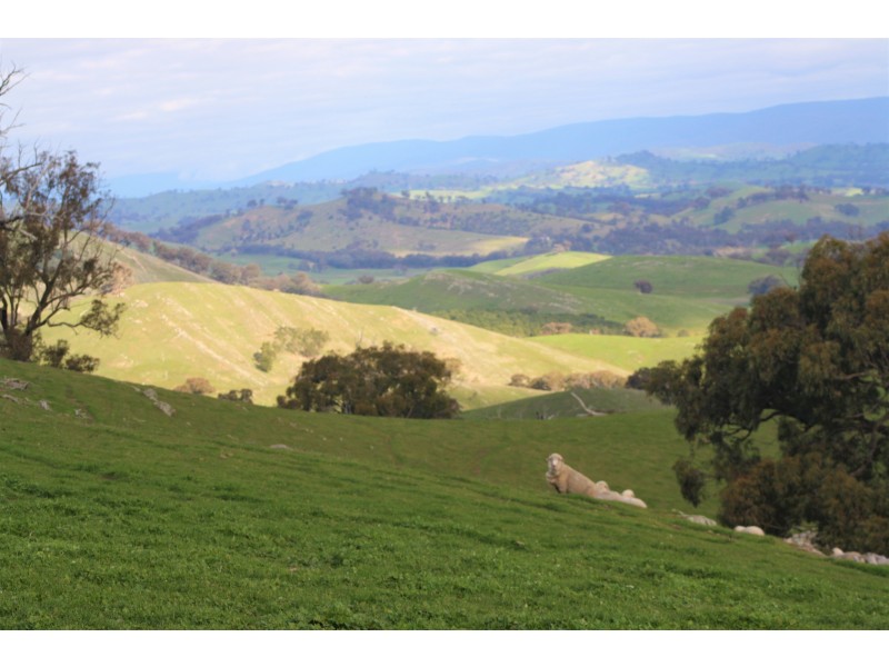 226 Macklins Road, Merton VIC 3715