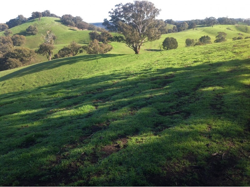 226 Macklins Road, Merton VIC 3715