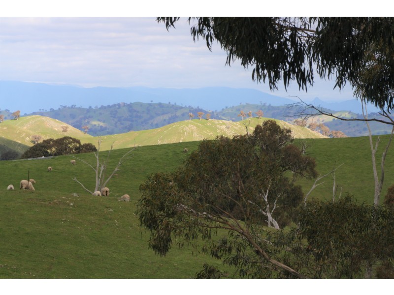 226 Macklins Road, Merton VIC 3715