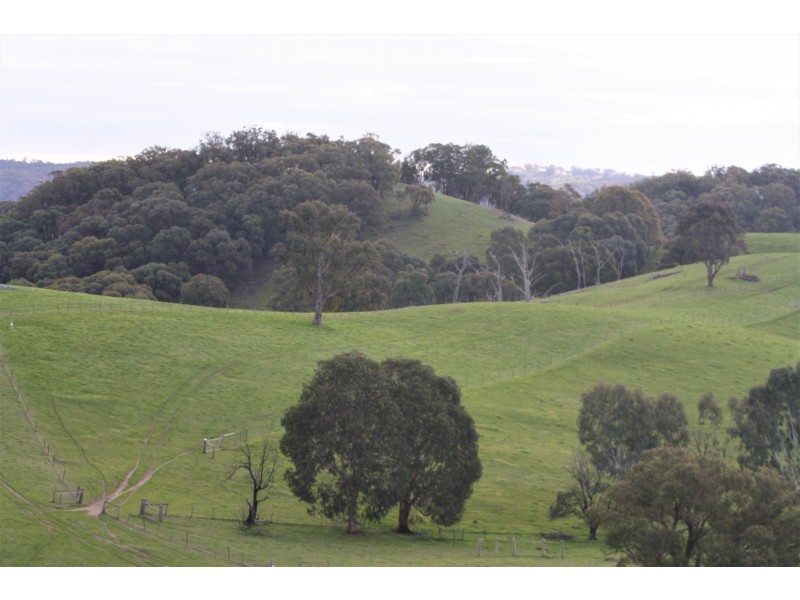 226 Macklins Road, Merton VIC 3715