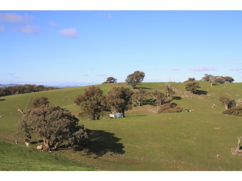 226 Macklins Road, Merton VIC 3715