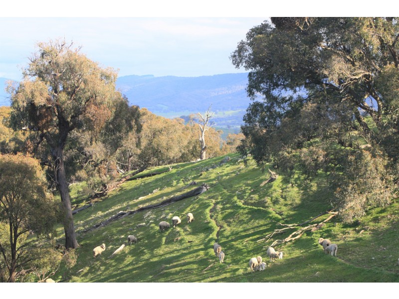 226 Macklins Road, Merton VIC 3715