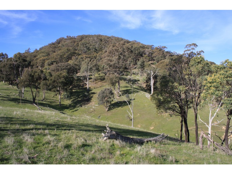 226 Macklins Road, Merton VIC 3715