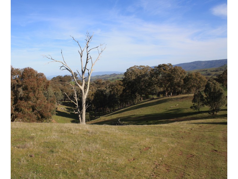 226 Macklins Road, Merton VIC 3715