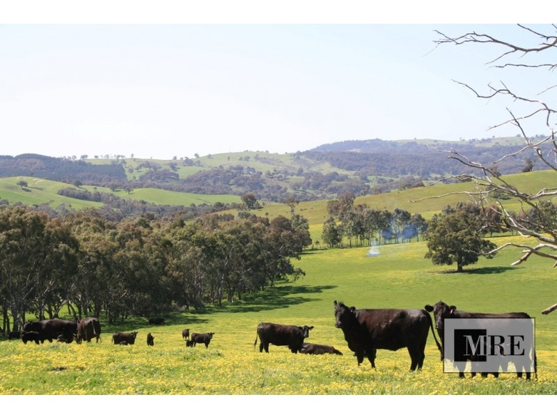 Macklins Road, Merton VIC 3715