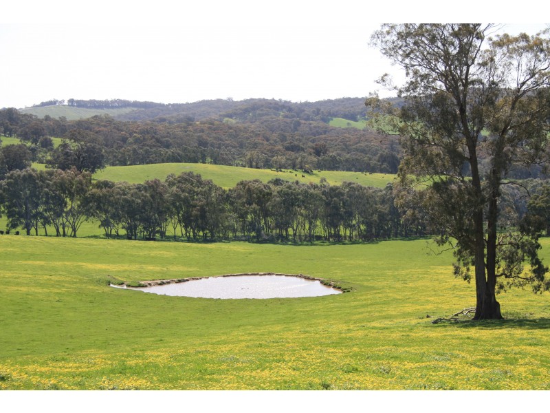 Macklins Road, Merton VIC 3715