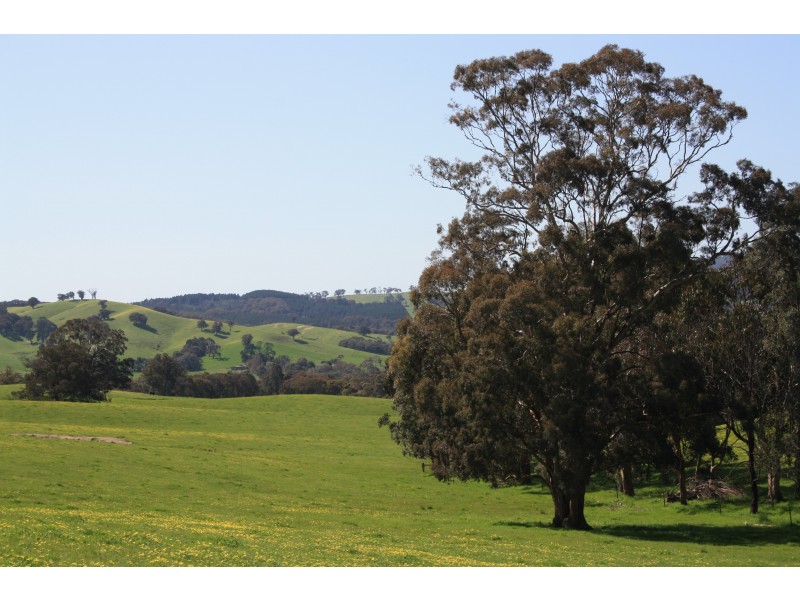 Macklins Road, Merton VIC 3715