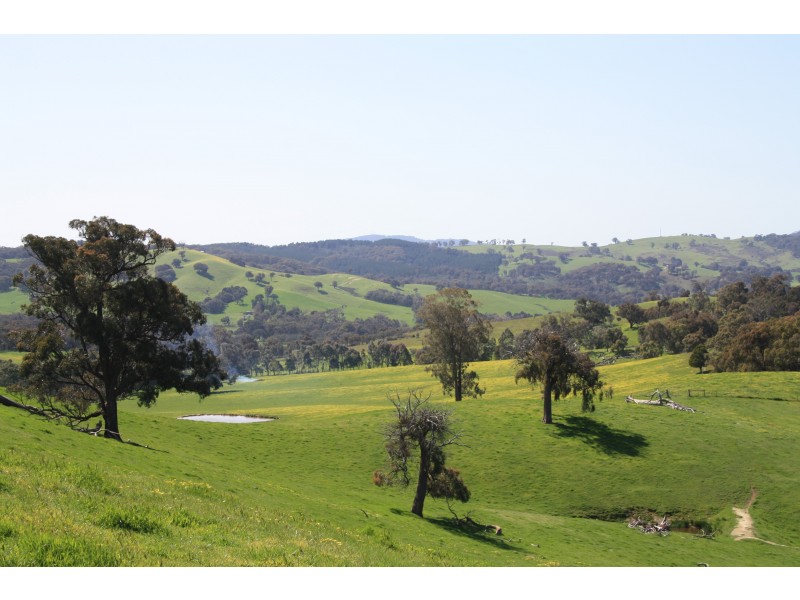 Macklins Road, Merton VIC 3715