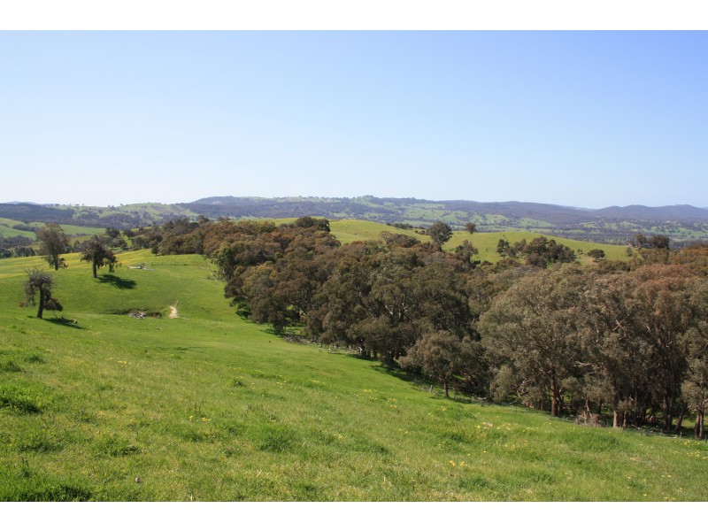 Macklins Road, Merton VIC 3715