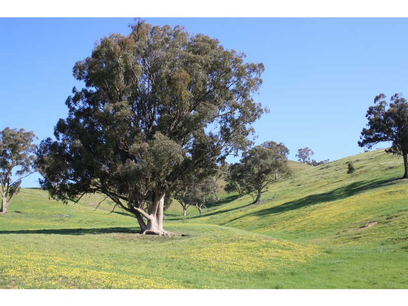 24 Eagles Lane, Bonnie Doon VIC 3720