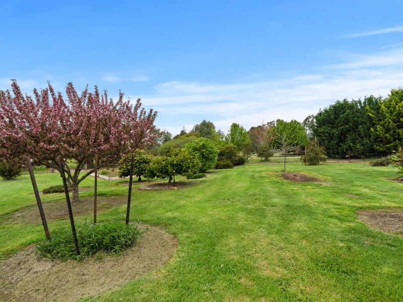 162 Malcolm Street, Mansfield VIC 3722