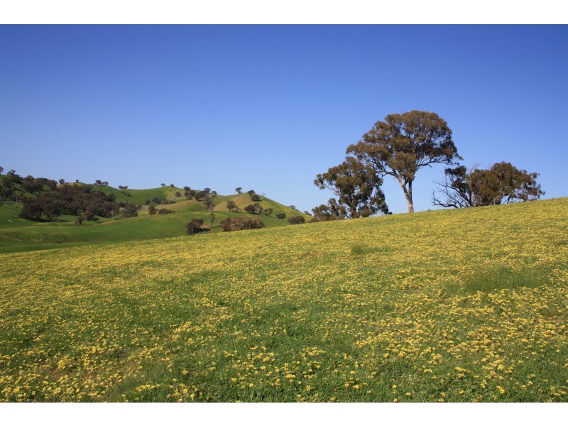 23 Eagles Lane, Bonnie Doon VIC 3720