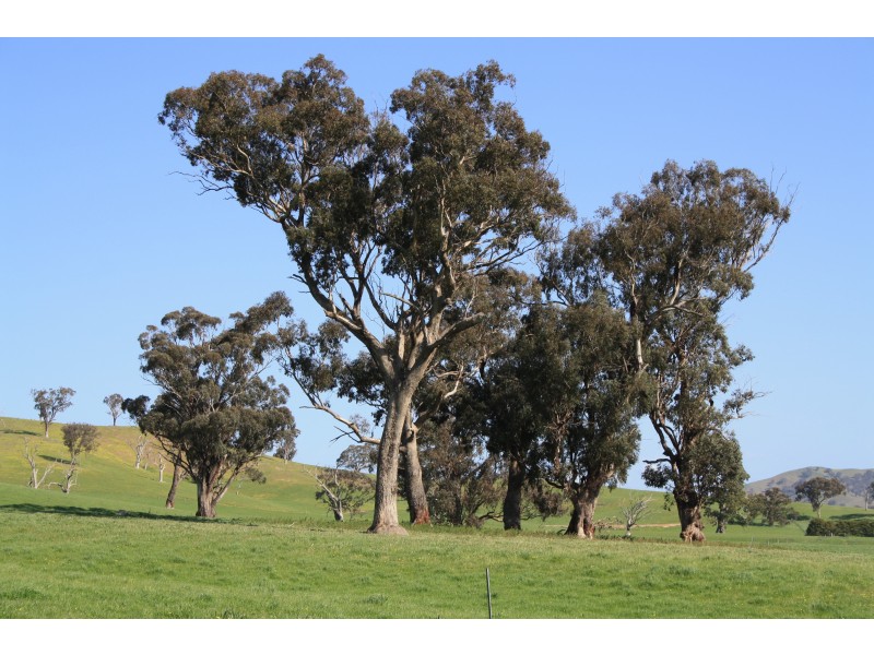 22 Eagles Lane, Bonnie Doon VIC 3720