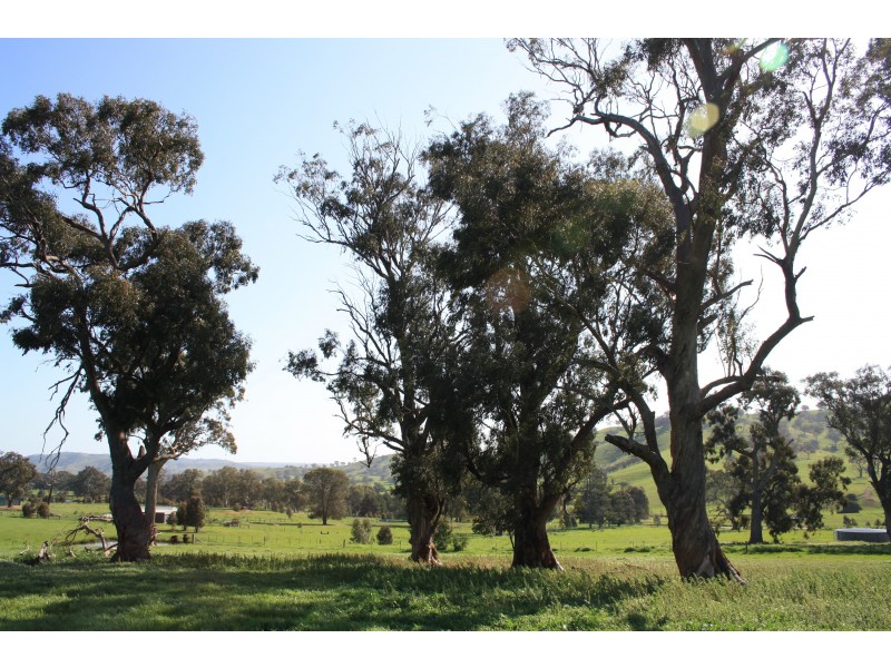 22 Eagles Lane, Bonnie Doon VIC 3720