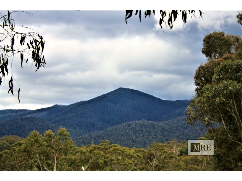 10 Mountain Rise, Merrijig VIC 3723