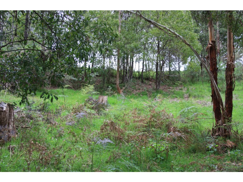 10 Mountain Rise, Merrijig VIC 3723