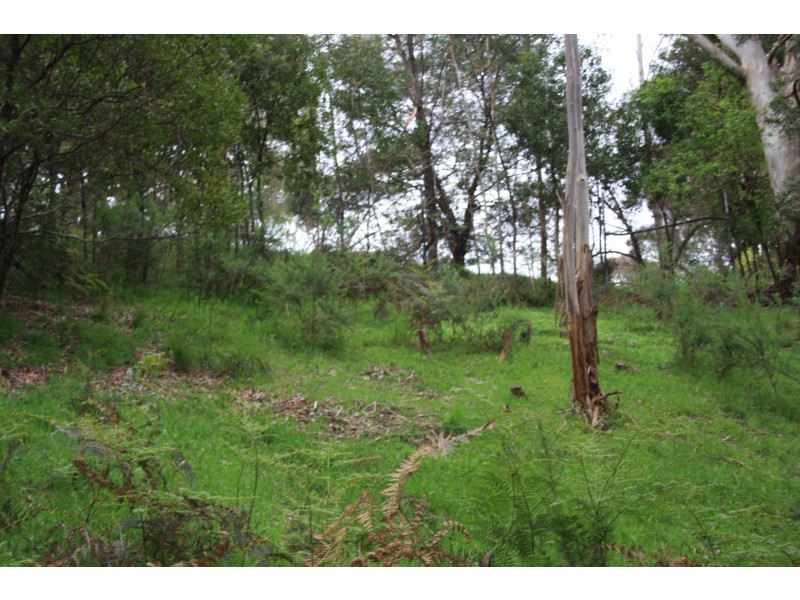 10 Mountain Rise, Merrijig VIC 3723