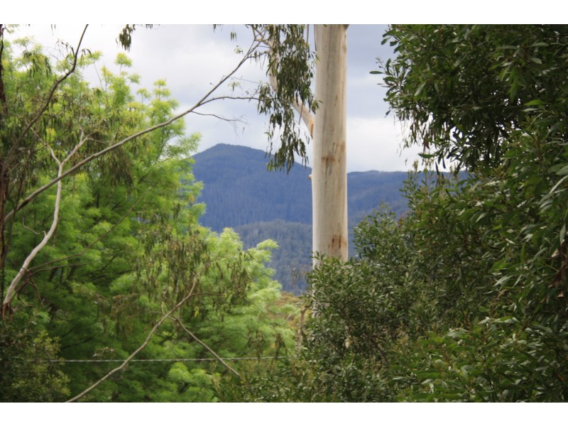 10 Mountain Rise, Merrijig VIC 3723