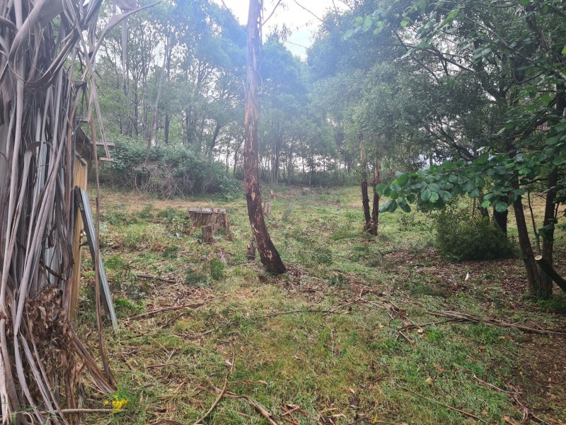 10 Mountain Rise, Merrijig VIC 3723