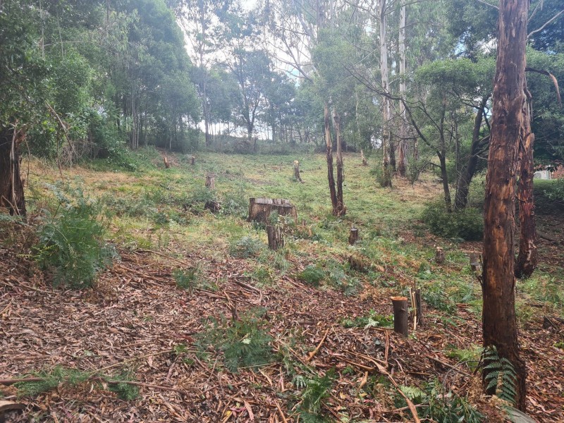 10 Mountain Rise, Merrijig VIC 3723