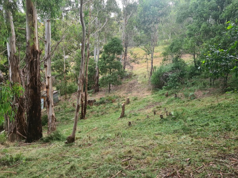 10 Mountain Rise, Merrijig VIC 3723