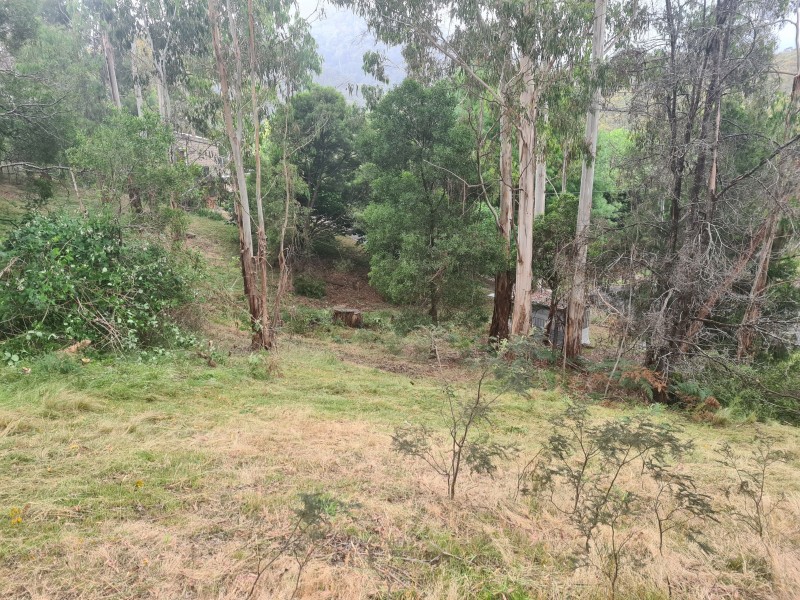 10 Mountain Rise, Merrijig VIC 3723